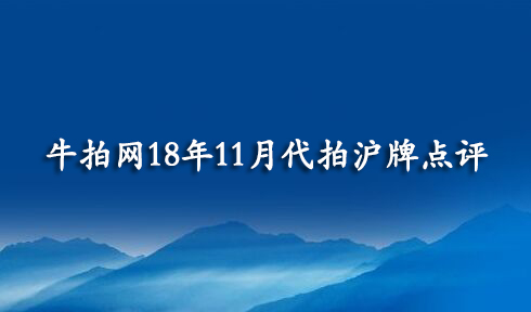 牛拍网18年11月代拍沪牌情况分析