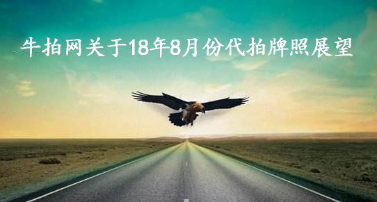 牛拍网关于18年8月份代拍牌照展望