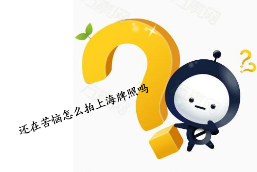 还在苦恼怎么拍上海牌照吗？牛拍网专业代拍牌照来帮您！