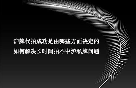 影响沪牌代拍成功的因素以及解决长时间拍不中沪私牌方法