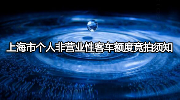 上海市个人非营业性客车额度竞拍须知