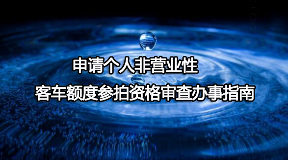 申请个人非营业性客车额度参拍资格审查办事指南